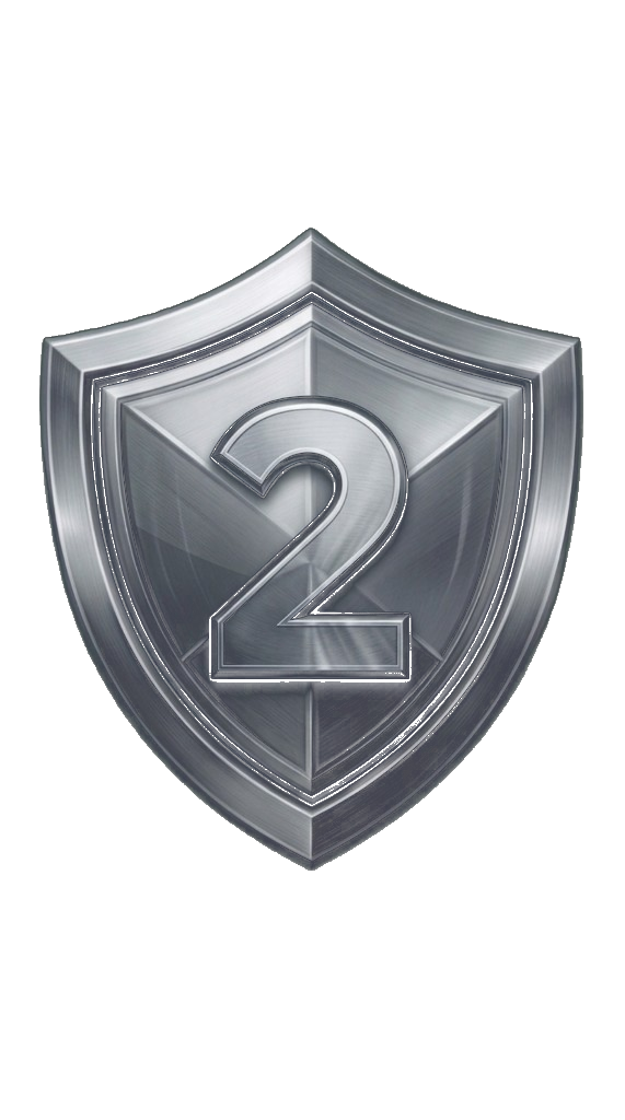 Silver Badge